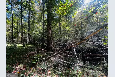 Lot 14 Lakeview Court, Baldwin, GA 30511 - Photo 3