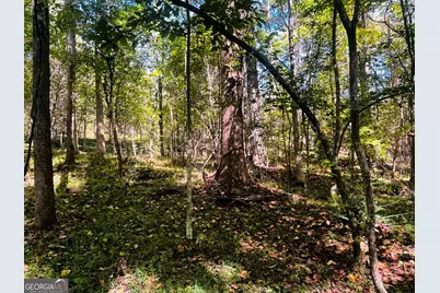 Lot 14 Lakeview Court, Baldwin, GA 30511 - Photo 5