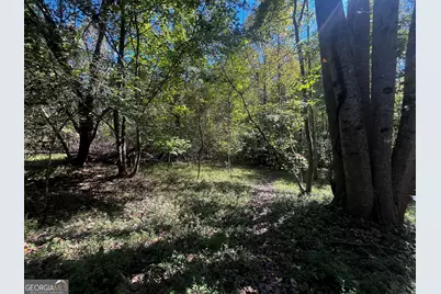 Lot 14 Lakeview Court, Baldwin, GA 30511 - Photo 11
