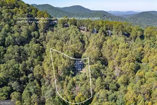 1109 Flat Rock Gap Rd, Blairsville, GA 30512 - Photo 33