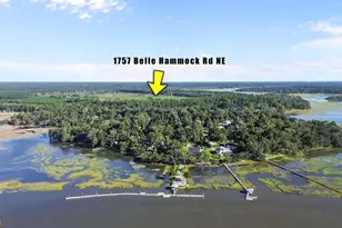1757 Belle Hammock Rd NE, Townsend, GA 31331 - Photo 27