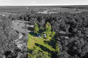 1757 Belle Hammock Rd NE, Townsend, GA 31331 - Photo 11