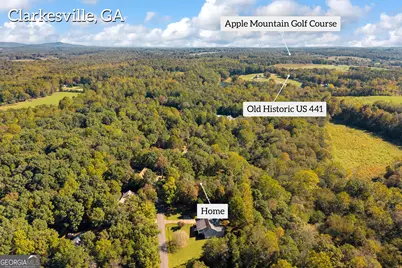 399 Grindstone Creek Drive, Clarkesville, GA 30523 - Photo 73