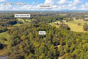 399 Grindstone Creek Dr, Clarkesville, GA 30523 - Photo 69