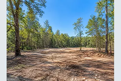 0 Thomason Road, Monticello, GA 31064 - Photo 3