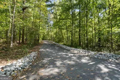 603 Las Brasis Court, Peachtree City, GA 30269 - Photo 49