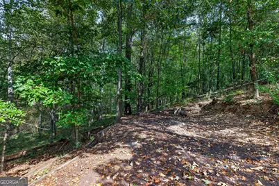 565 Arbor Springs Parkway, Newnan, GA 30265 - Photo 71