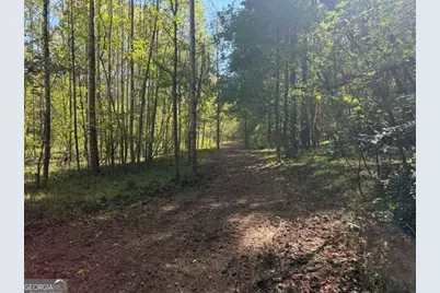 2466 Flatbottom Rd, Ball Ground, GA 30107 - Photo 29