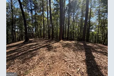 2466 Flatbottom Rd, Ball Ground, GA 30107 - Photo 11