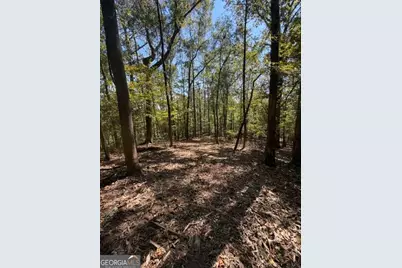 2466 Flatbottom Rd, Ball Ground, GA 30107 - Photo 23