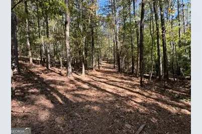 2466 Flatbottom Rd, Ball Ground, GA 30107 - Photo 7