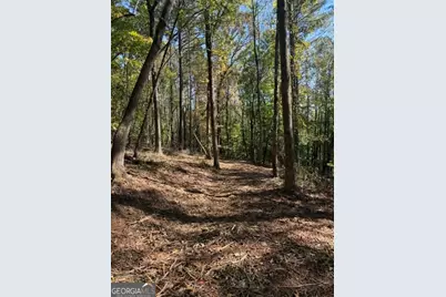 2466 Flatbottom Rd, Ball Ground, GA 30107 - Photo 15