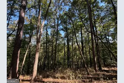 2466 Flatbottom Rd, Ball Ground, GA 30107 - Photo 13