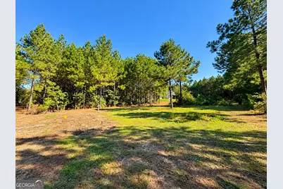 93 Mulberry Crossing Drive, Cataula, GA 31804 - Photo 29
