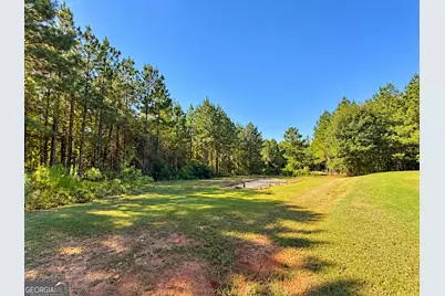 93 Mulberry Crossing Drive, Cataula, GA 31804 - Photo 25