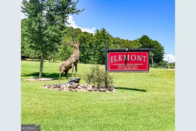 153 Elkmont Trail, Cleveland, GA 30528 - Photo 27