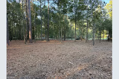 860 Bobby Jones Drive, Dublin, GA 31021 - Photo 5