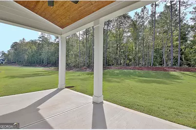 188 Ryeland Drive, Senoia, GA 30276 - Photo 77