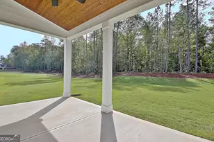 188 Ryeland Dr, Senoia, GA 30276 - Photo 77