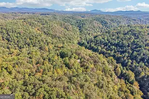 120 Bear Den Rd, Dahlonega, GA 30533 - Photo 95