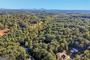 86 Wild Azalea Trl, Dahlonega, GA 30533 - Photo 63