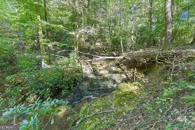 231 Hatfield Grove, Dahlonega, GA 30533 - Photo 43
