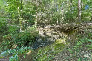 231 Hatfield Grove, Dahlonega, GA 30533 - Photo 43