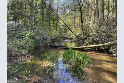 931 Foster Branch Road, Epworth, GA 30541 - Photo 27