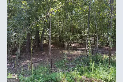 0 Highway 18 E, Gray, GA 31032 - Photo 7