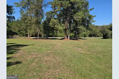 795 S Main Street, Davisboro, GA 31018 - Photo 143