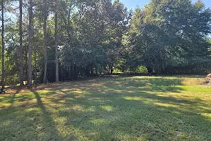 795 S Main St, Davisboro, GA 31018 - Photo 113