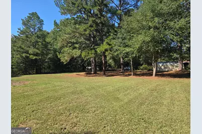 795 S Main Street, Davisboro, GA 31018 - Photo 115