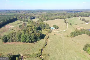 541 Addison Rd, Buchanan, GA 30113 - Photo 1
