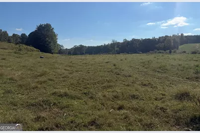 541 Addison Road, Buchanan, GA 30113 - Photo 9