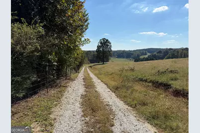 541 Addison Road, Buchanan, GA 30113 - Photo 35