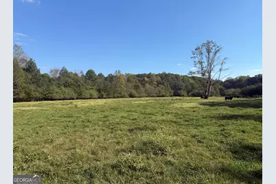 541 Addison Road, Buchanan, GA 30113 - Photo 43