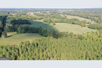 541 Addison Road, Buchanan, GA 30113 - Photo 5