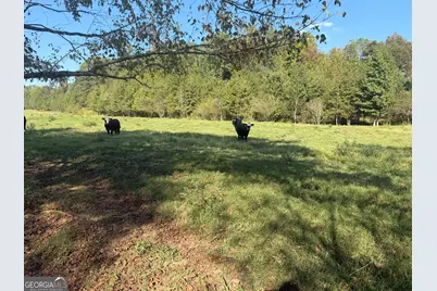 541 Addison Road, Buchanan, GA 30113 - Photo 33