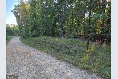 0 Vickers Road, Flovilla, GA 30216 - Photo 3