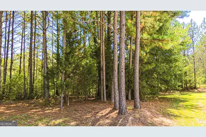 1845 Roberts Quarters Road, Concord, GA 30206 - Photo 119