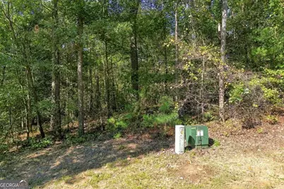 0 Town Creek Road #LOT 20, Talking Rock, GA 30175 - Photo 5