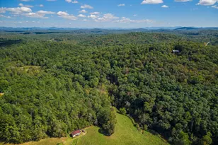 808 Mill Stone Mountain Ln, Blue Ridge, GA 30513 - Photo 43