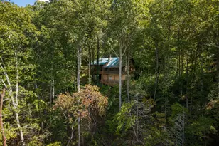 808 Mill Stone Mountain, Blue Ridge, GA 30513 - Photo 1