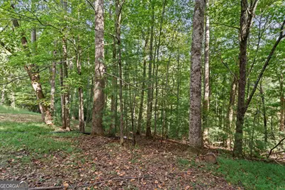 90 Clubhouse Court, Ellijay, GA 30536 - Photo 35