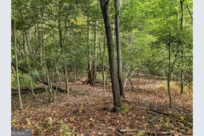 456 Nicholson Road, Blue Ridge, GA 30513 - Photo 13
