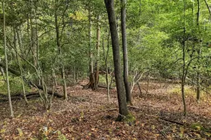 456 Nicholson Rd, Blue Ridge, GA 30513 - Photo 13