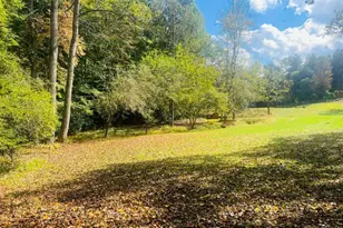456 Nicholson Rd, Blue Ridge, GA 30513 - Photo 23