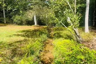 456 Nicholson Rd, Blue Ridge, GA 30513 - Photo 21