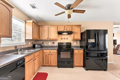 255 Galway Lane, Hampton, GA 30228 - Photo 17