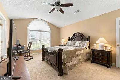 255 Galway Lane, Hampton, GA 30228 - Photo 19